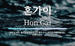 혼가이 뜻: 베트남 북부, 통킹만에 면하여 있는 항구 도시. 부근에 유명한 혼가이 탄광이 있다.