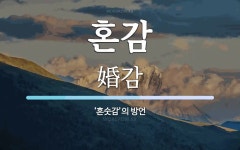 혼감 뜻: ‘혼숫감’의 방언