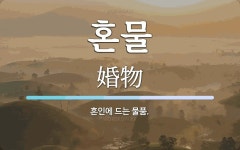 혼물 뜻: 혼인에 드는 물품.