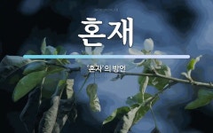 혼재 뜻: ‘혼자’의 방언