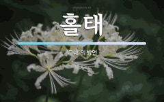 홀태 뜻: ‘그네’의 방언