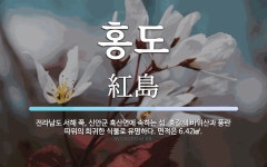 홍도 뜻: 전라남도 서해 쪽, 신안군 흑산면에 속하는 섬. 홍갈색 바위산과 풍란 따위의 희귀한 식물로