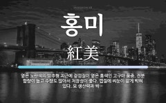 홍미 뜻: 옅은 노란색의 방추형 괴근에 겉껍질이 옅은 홍색인 고구마 품종. 전분 함량이 높고 수량도 홍미 뜻: 옅은 노란색의 방추형 괴근에... 