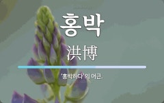홍박 뜻: ‘홍박하다’의 어근.