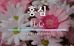 홍심 뜻: 과녁에서 붉은 칠을 한 동그란 부분.