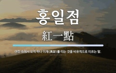 홍일점 뜻: 여럿 속에서 오직 하나 이채(異彩)를 띠는 것을 비유적으로 이르는 말.