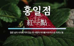 홍일점 뜻: 많은 남자 사이에 끼어 있는 한 사람의 여자를 비유적으로 이르는 말.