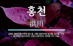 홍천 뜻: 강원도 홍천군 중서부에 있는 읍. 교통 요충지이며 농산물, 임산물, 약재, 꿀 따위의 집산