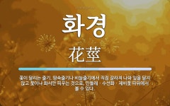 화경 뜻: 꽃이 달리는 줄기. 땅속줄기나 비늘줄기에서 직접 갈라져 나와 잎을 달지 않고 꽃이나 화서만