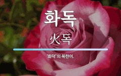 화독 뜻: ‘화덕’의 북한어.