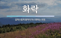 화락 뜻: 갑작스럽게 움직이거나 변하는 모양.