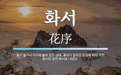 화서 뜻: 꽃이 줄기나 가지에 붙어 있는 상태. 꽃대가 갈라진 모양에 따라 무한 화서와 유한 화서로 화서 뜻: 꽃이 줄기나 가지에 붙어 있는 상태.... 