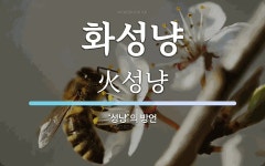 화성냥 뜻: ‘성냥’의 방언