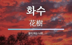 화수 뜻: 꽃이 피는 나무.