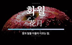 화월 뜻: 꽃과 달을 아울러 이르는 말.