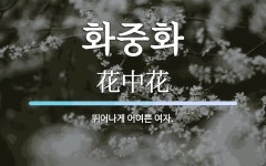화중화 뜻: 뛰어나게 어여쁜 여자.