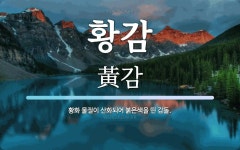 황감 뜻: 황화 물질이 산화되어 붉은색을 띤 감돌.