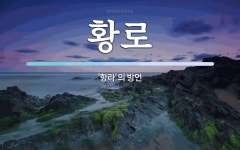 황로 뜻: ‘항라’의 방언