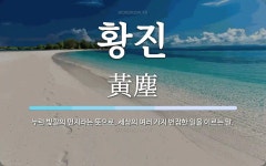 황진 뜻: 누런 빛깔의 먼지라는 뜻으로, 세상의 여러 가지 번잡한 일을 이르는 말.