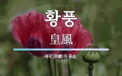 황풍 뜻: 제국(帝國)의 풍습.