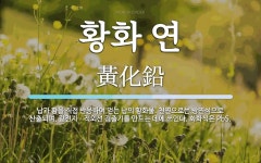 황화 연 뜻: 납과 황을 직접 반응하여 얻는 납의 황화물. 천연으로는 방연석으로 산출되며, 광전지ㆍ적외선