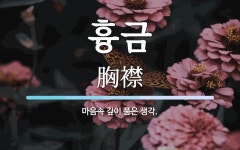 흉금 뜻: 마음속 깊이 품은 생각.