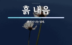 흙 내음 뜻: 흙에서 나는 냄새.