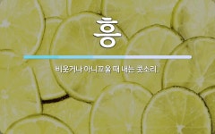 흥 뜻: 비웃거나 아니꼬울 때 내는 콧소리.