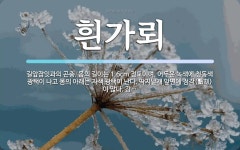 흰가뢰 뜻: 길앞잡잇과의 곤충. 몸의 길이는 1.6cm 정도이며, 어두운 녹색에 청동색 광택이 나고 몸