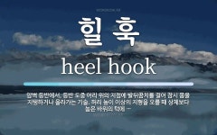 힐 훅 뜻: 암벽 등반에서, 등반 도중 머리 위의 지점에 발뒤꿈치를 걸어 잠시 몸을 지탱하거나 올라가는