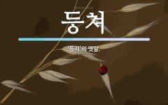 쳐 뜻: ‘등지’의 옛말. 쳐 뜻: ‘등지’의 옛말.