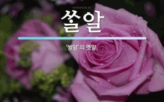 알 뜻: ‘쌀알’의 옛말. 알 뜻: ‘쌀알’의 옛말.