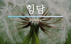 담 뜻: ‘행담’의 옛말. 담 뜻: ‘행담’의 옛말.