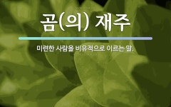 속담: 곰(의) 재주