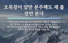 속담: 오목장이 암만 분주해도 제 볼 장만 본다