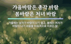 속담: 가을바람은 총각 바람 봄바람은 처녀 바람