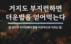 속담: 거지도 부지런하면 더운밥을 얻어먹는다