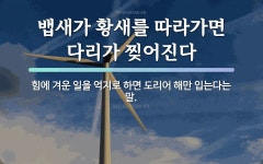 속담: 뱁새가 황새를 따라가면 다리가 찢어진다