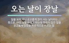 속담: 오는 날이 장날