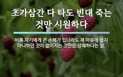 속담: 초가삼간 다 타도 빈대 죽는 것만 시원하다