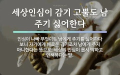 속담: 세상인심이 감기 고뿔도 남 주기 싫어한다