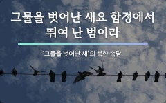 속담: 그물을 벗어난 새요 함정에서 뛰여 난 범이라