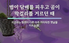 속담: 범이 담배를 피우고 곰이 막걸리를 거르던 때