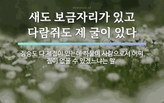 속담: 새도 보금자리가 있고 다람쥐도 제 굴이 있다
