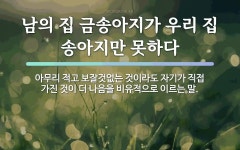 속담: 남의 집 금송아지가 우리 집 송아지만 못하다