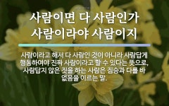 속담: 사람이면 다 사람인가 사람이라야 사람이지
