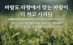 타향에 관한 한자/한자성어/사자성어 16개  타향에 관한 한자/한자성어/사자성어 16개