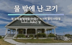 속담: 물 밖에 난 고기