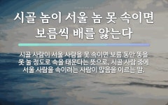 속담: 시골 놈이 서울 놈 못 속이면 보름씩 배를 앓는다