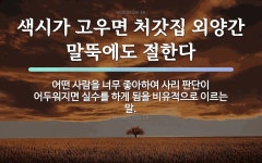 속담: 색시가 고우면 처갓집 외양간 말뚝에도 절한다